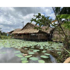 Rừng Nam Farm