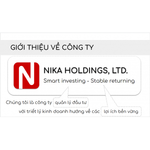 Công Ty TNHH Nika Holdings