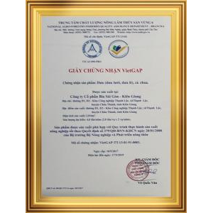 Cty CP Bia Sài Gòn – Kiên Giang