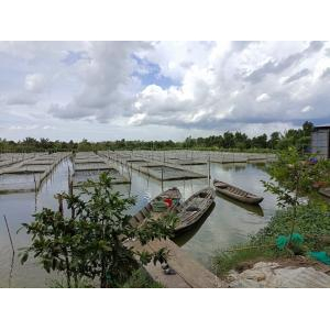 Cty TNHH Công Nghệ ENDOTA