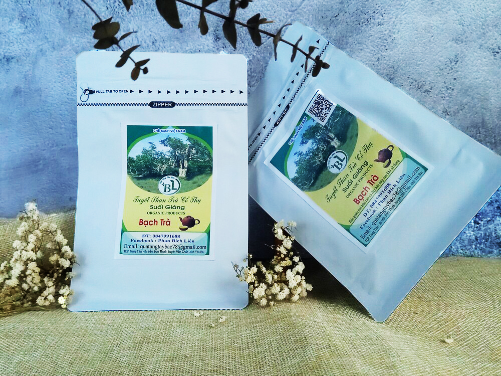Bạch trà rất tốt cho sức khỏe