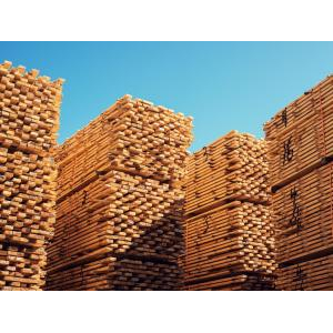 Công Ty Cổ Phần Đầu Tư Thúy Sơn