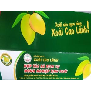 Liên kết tiêu thụ sản phẩm xoài