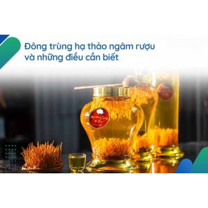 Rượu đông trùng hạ thảo công dụng và 7 cách ngâm rượu tại nhà