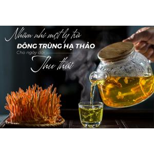 Những lợi ích của việc sử dụng đông trùng hạ thảo