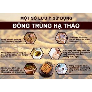 Lưu ý khi sử dụng đông trùng hạ thảo: