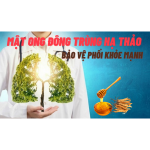 Mật ong đông trùng hạ thảo giúp tăng cường sức khỏe đường hô hấp 