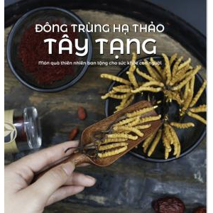 Những lưu ý khi mua đông trùng hạ thảo Tây Tạng