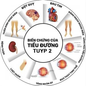 Đông trùng hạ thảo có tác dụng giúp quản lý bệnh tiểu đường loại 2