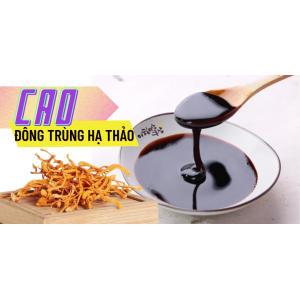 Tìm hiểu bản chất cao đông trùng hạ thảo Cordyceps