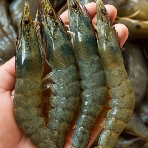 Nguồn dưỡng chất dồi dào