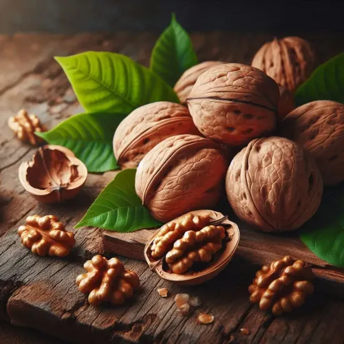 Quả óc chó có gì khác biệt so với các loại hạt khác?