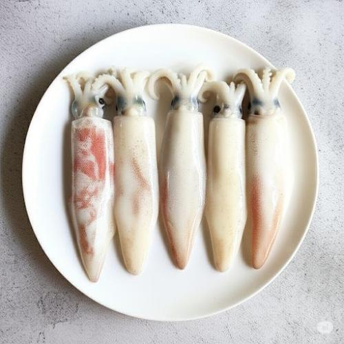 Mực ống là gì?