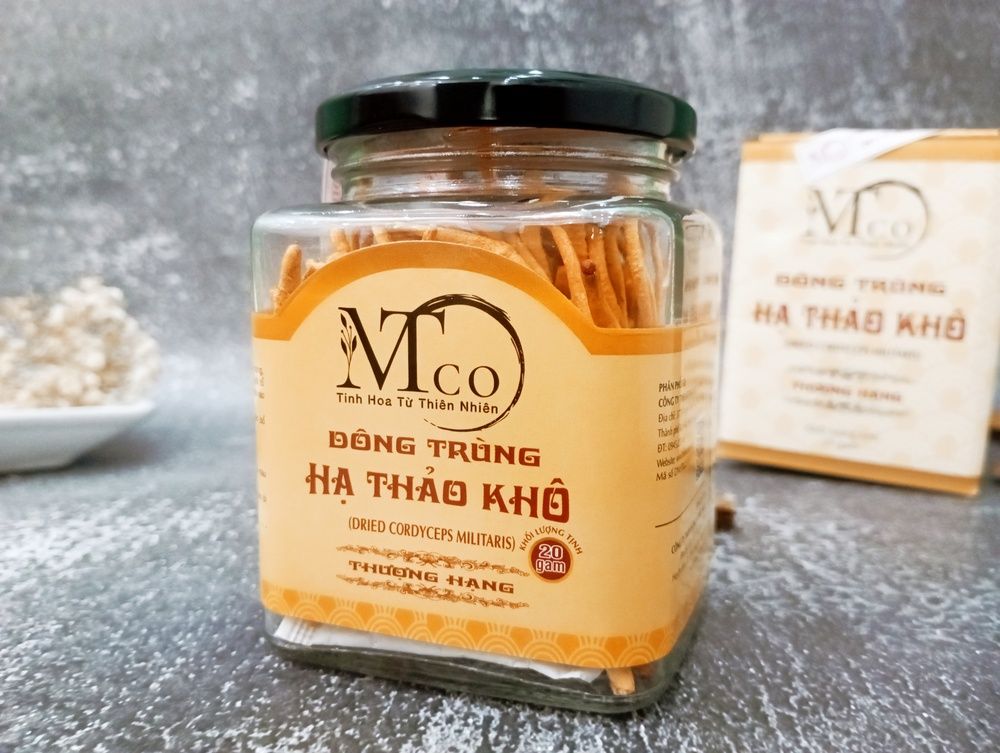 Người rối loạn đông máu