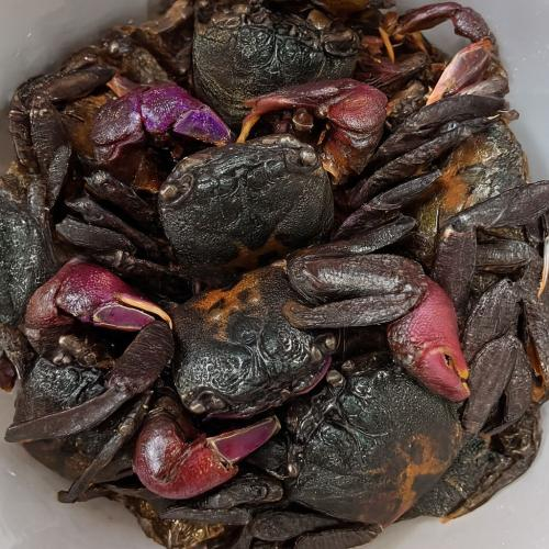 Làm sạch ba khía