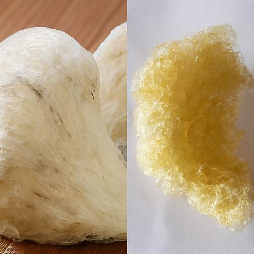 Làm Sao Nhận Biết Được Yến Giả? Yến Giả Làm Từ Gì?