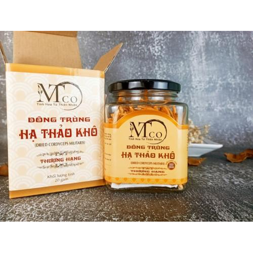 Uống đông trùng hạ thảo vào lúc nào là tốt nhất?