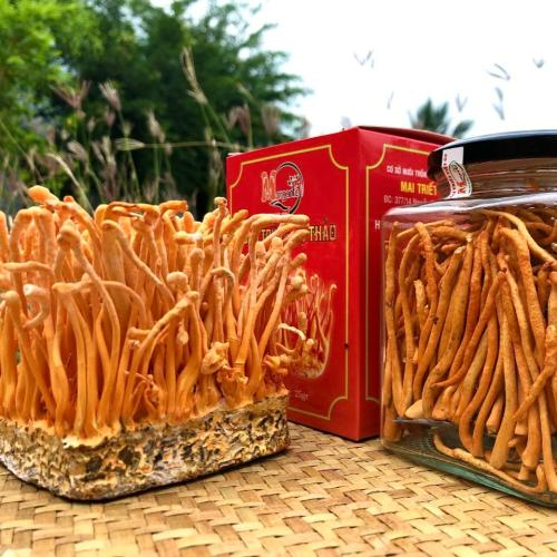 Hỗ trợ hệ hô hấp