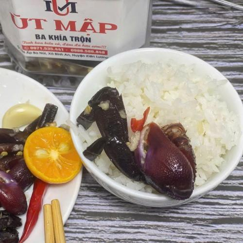 Mua ba khía ở đâu chất lượng?