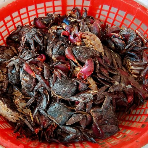 Kết quả cho thấy sự kết hợp