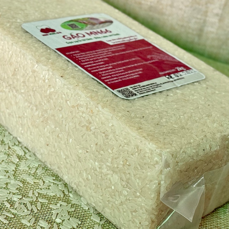 Nữ giới ít vận động