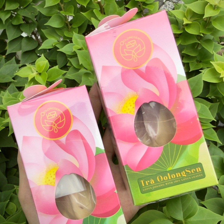 Hỗ trợ giảm cân