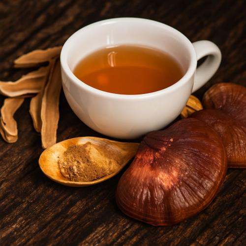 Nấm linh chi có đặc điểm gì?