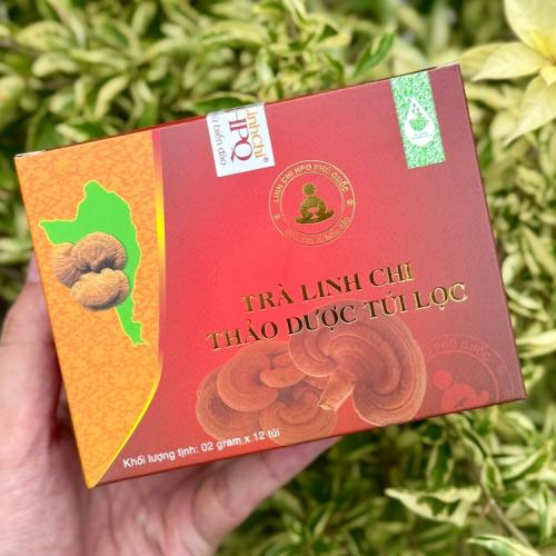 Vào dịp lễ Tết
