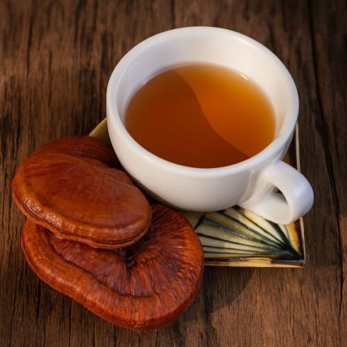 Cách uống nấm linh chi đúng cách