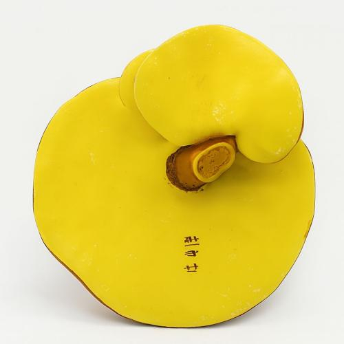 Tốt cho hệ bài tiết