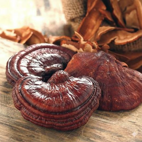 Giảm mệt mỏi