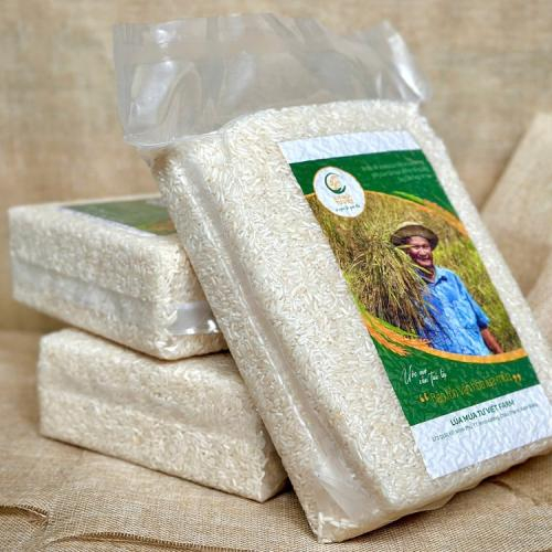 Bài học then chốt