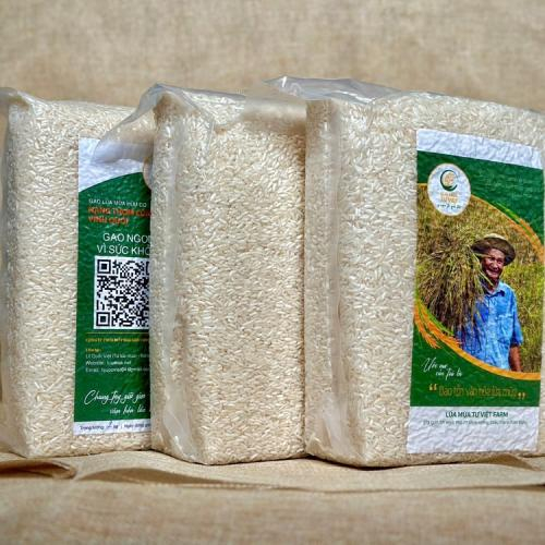 Ăn chậm, nhai kỹ