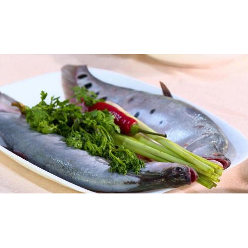 Đột phá khác biệt từ cá thát lát rút xương