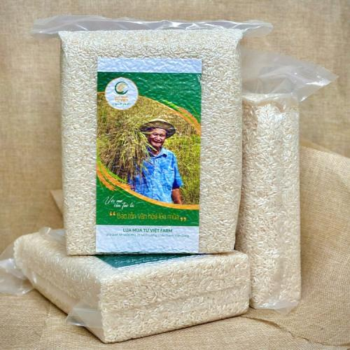 Không vo gạo trước khi nấu được không?