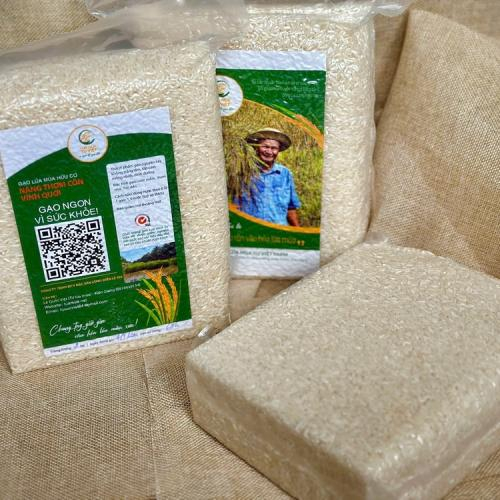 Ăn Rau Thay Cơm Nàng Thơm Cồn Vĩnh Quới Có Giảm Cân Không?