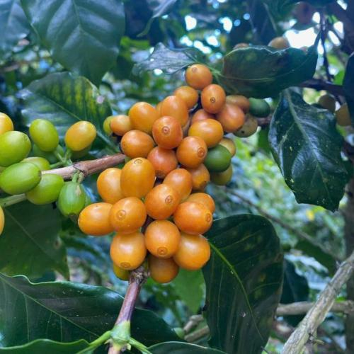 Bước 1: Chuẩn bị nguyên liệu & dụng cụ