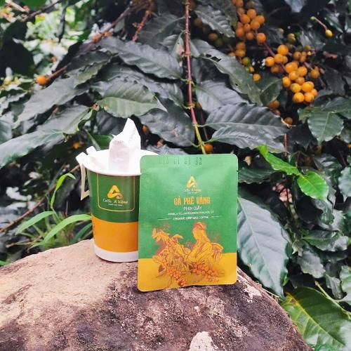 Chất lượng cao cấp từ giống cà phê hữu cơ
