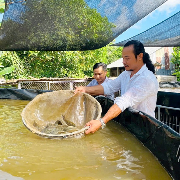 Nên ăn cá 2-3 lần một tuần