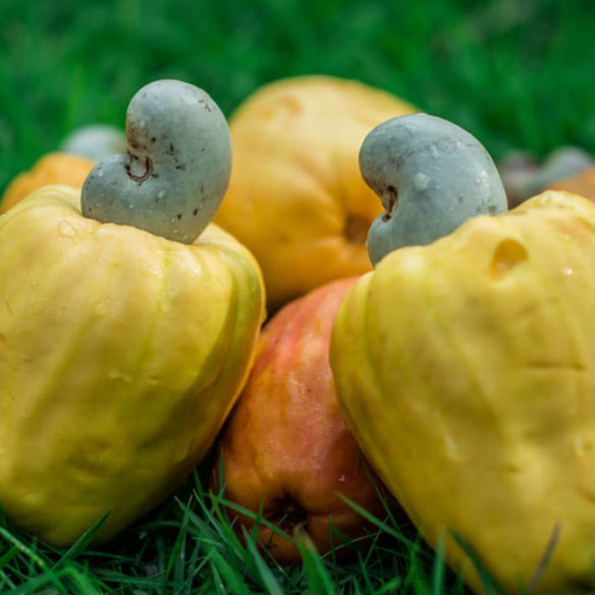 Sự lãng phí không đáng có