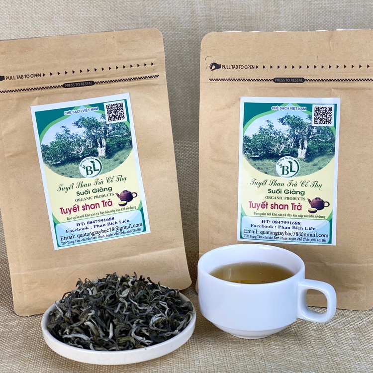 Hái trà bằng tay