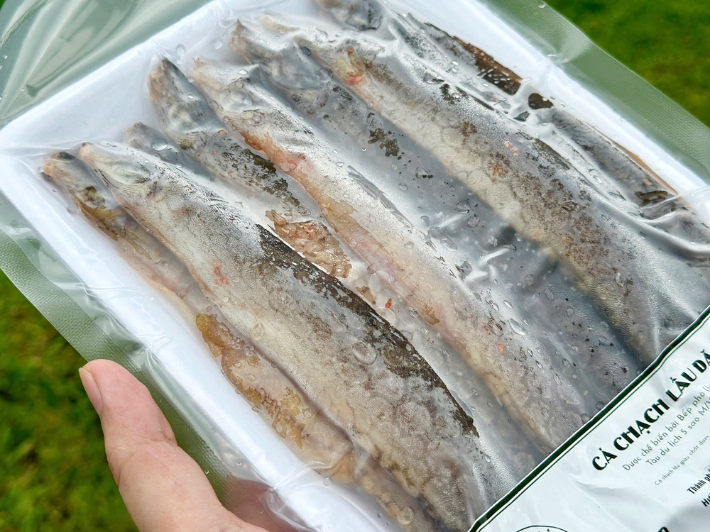 Đặc điểm của cá chạch