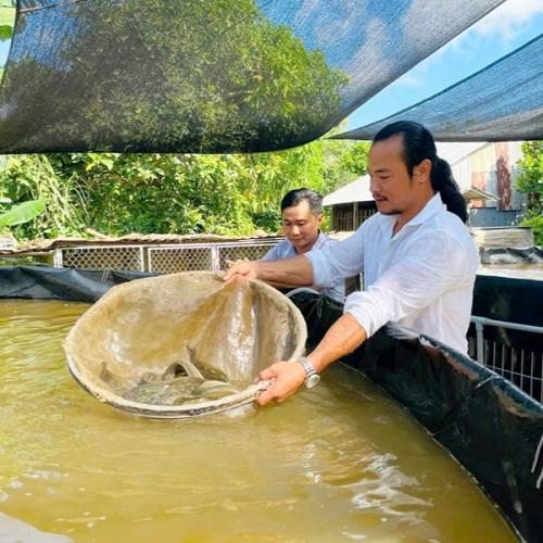Nên ăn cá 2-3 lần một tuần