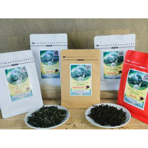 Nhiệt độ pha trà