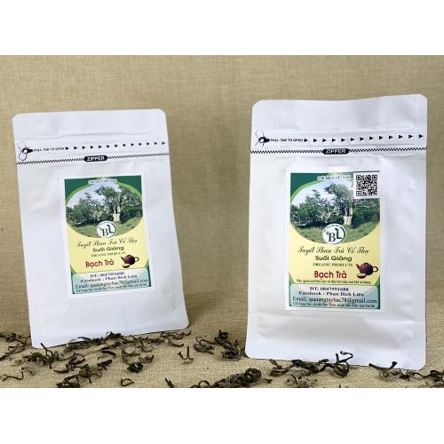 Bạch trà - Trà cổ thụ