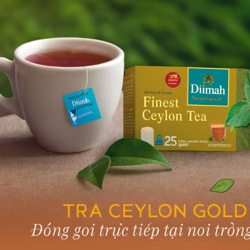 Chứa nhiều hợp chất thực vật