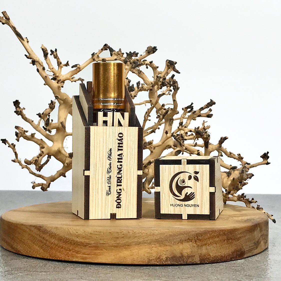 Nguyên nhân say tàu xe