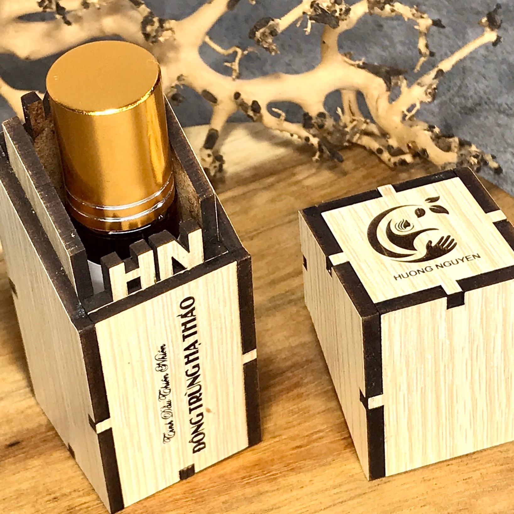 Muỗi đực hay muỗi cái mới hút máu?