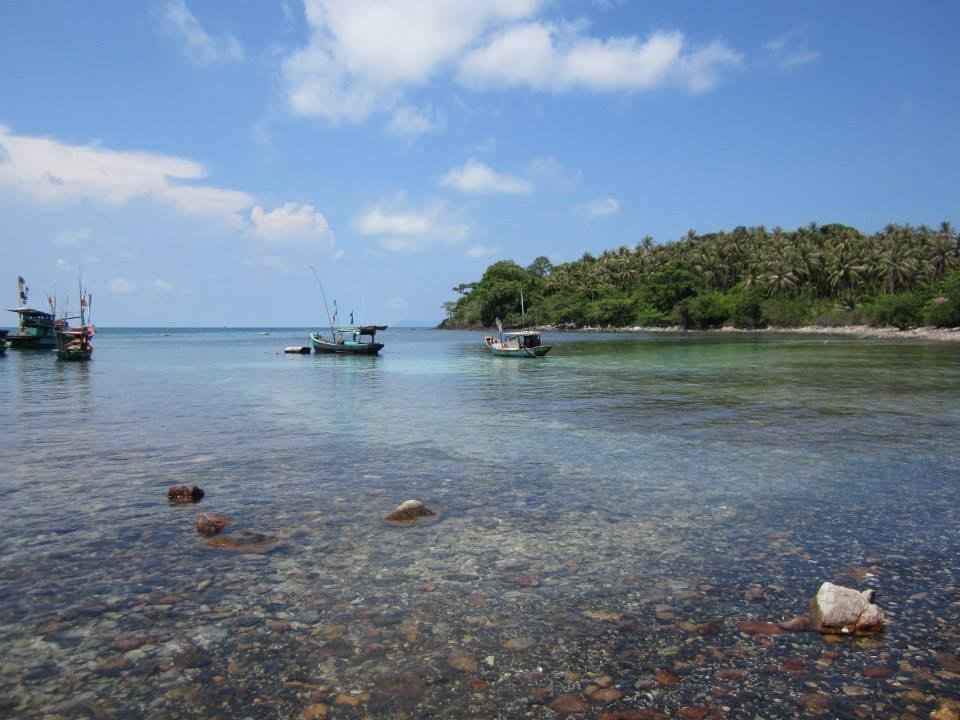 Nguồn cá biển tươi