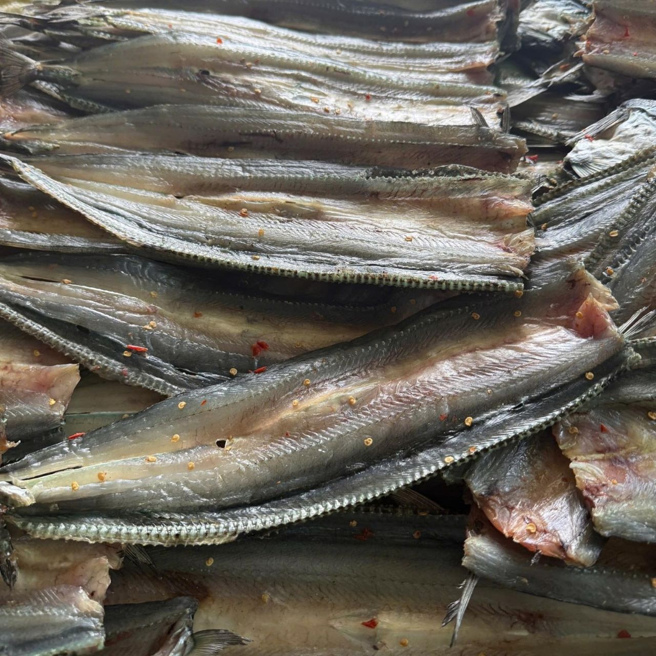 Xuất xứ và loại cá